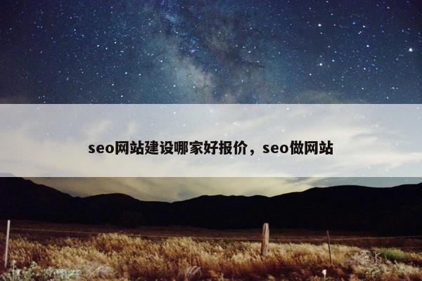 seo网站建设哪家好报价，seo做网站