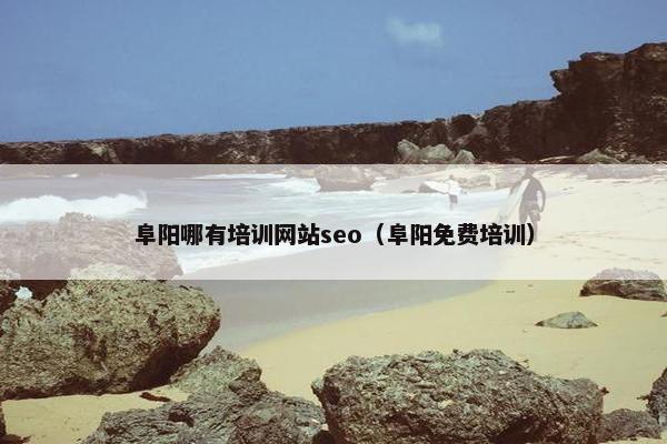 阜阳哪有培训网站seo（阜阳免费培训）