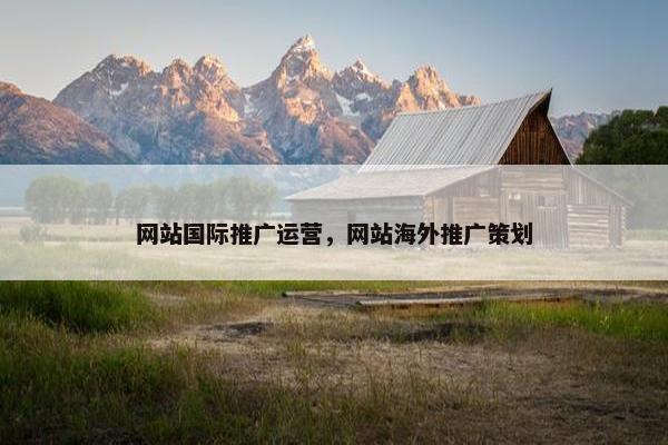 网站国际推广运营，网站海外推广策划