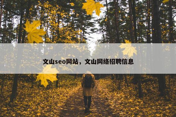 文山seo网站，文山网络招聘信息