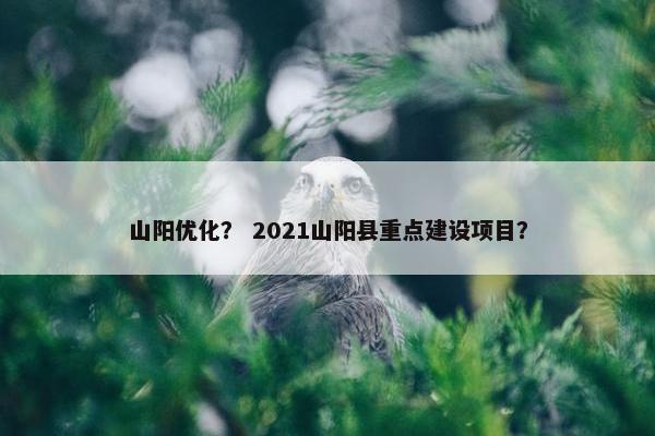 山阳优化？ 2021山阳县重点建设项目？