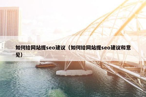 如何给网站提seo建议（如何给网站提seo建议和意见）