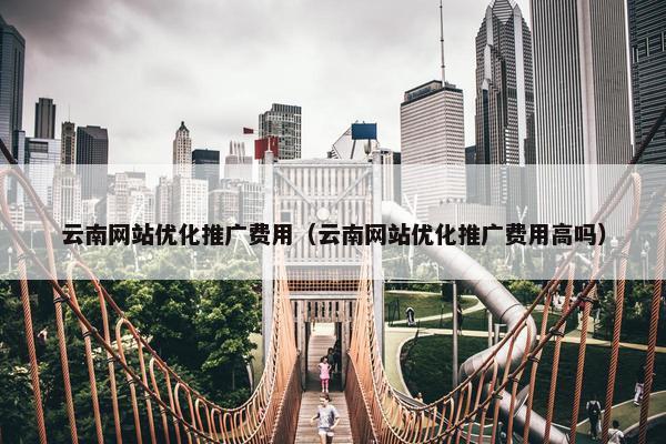 云南网站优化推广费用（云南网站优化推广费用高吗）