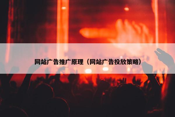 网站广告推广原理（网站广告投放策略）