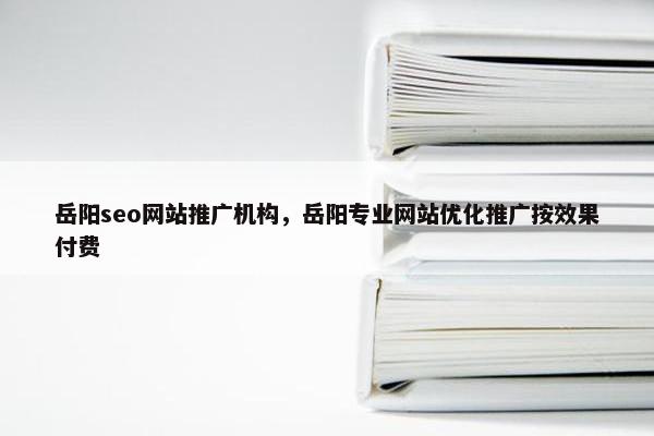 岳阳seo网站推广机构，岳阳专业网站优化推广按效果付费