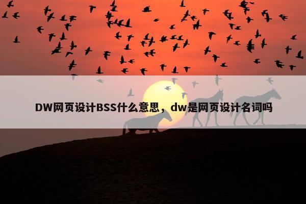DW网页设计BSS什么意思，dw是网页设计名词吗