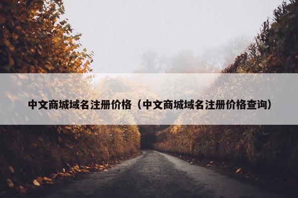 中文商城域名注册价格（中文商城域名注册价格查询）