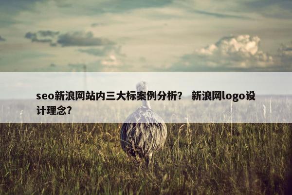 seo新浪网站内三大标案例分析？ 新浪网logo设计理念？