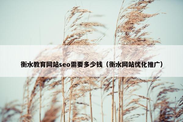 衡水教育网站seo需要多少钱（衡水网站优化推广）