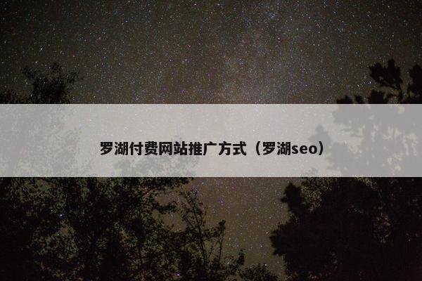 罗湖付费网站推广方式（罗湖seo）