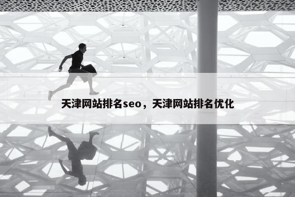 天津网站排名seo，天津网站排名优化