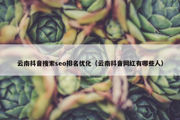 云南抖音搜索seo排名优化（云南抖音网红有哪些人）