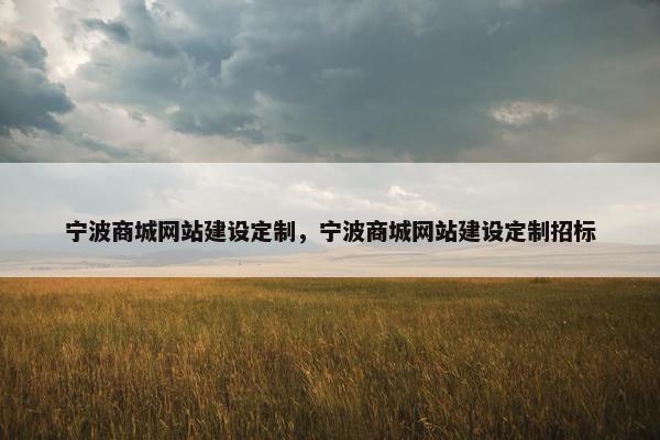 宁波商城网站建设定制，宁波商城网站建设定制招标