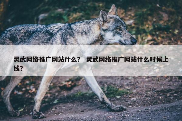 灵武网络推广网站什么？ 灵武网络推广网站什么时候上线？