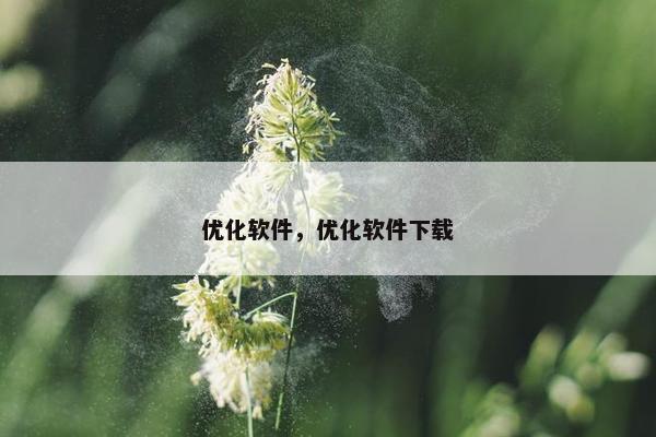 优化软件，优化软件下载