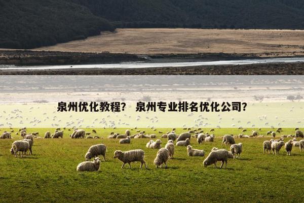 泉州优化教程？ 泉州专业排名优化公司？