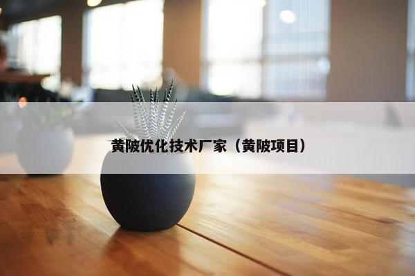 黄陂优化技术厂家（黄陂项目）