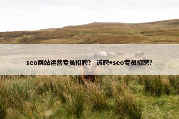 seo网站运营专员招聘？ 诚聘+seo专员招聘？