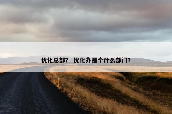 优化总部？ 优化办是个什么部门？