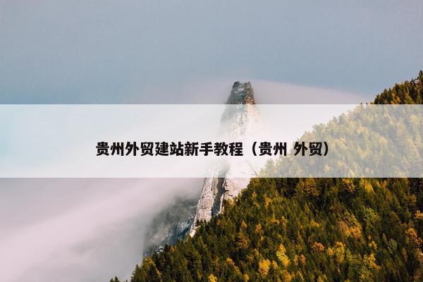 贵州外贸建站新手教程（贵州 外贸）