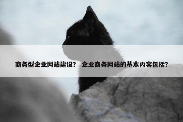 商务型企业网站建设? 企业商务网站的基本内容包括?