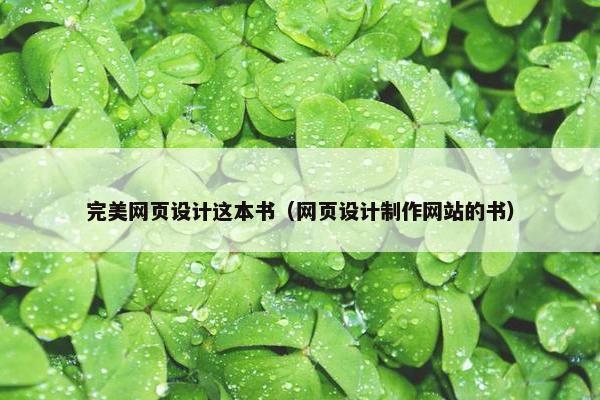 完美网页设计这本书（网页设计制作网站的书）
