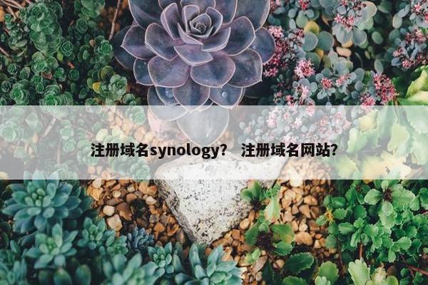 注册域名synology？ 注册域名网站？