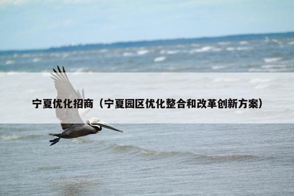 宁夏优化招商（宁夏园区优化整合和改革创新方案）