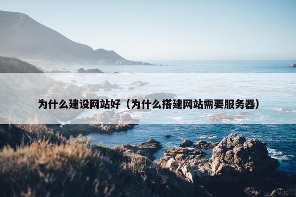 为什么建设网站好（为什么搭建网站需要服务器）