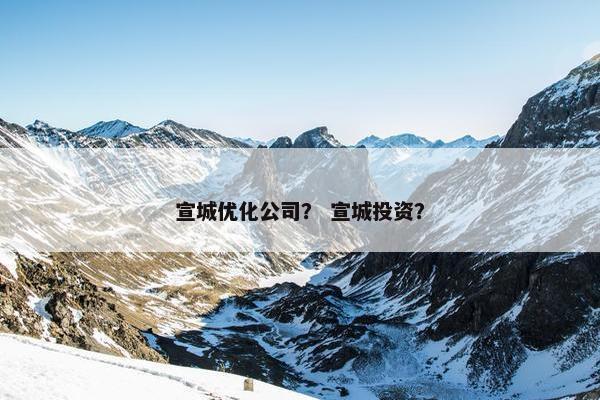 宣城优化公司？ 宣城投资？