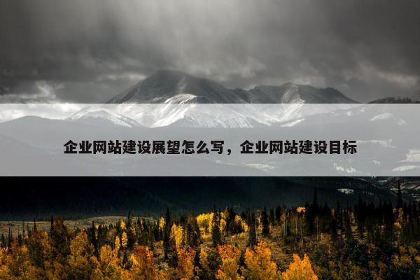 企业网站建设展望怎么写，企业网站建设目标