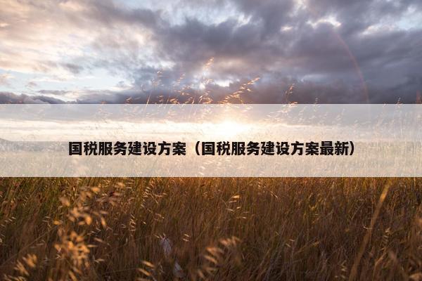国税服务建设方案（国税服务建设方案最新）