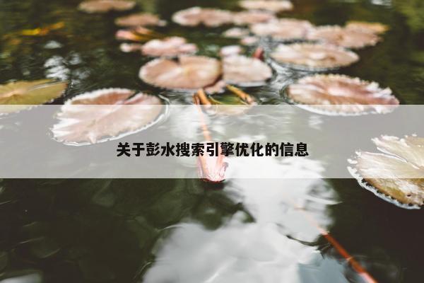 关于彭水搜索引擎优化的信息