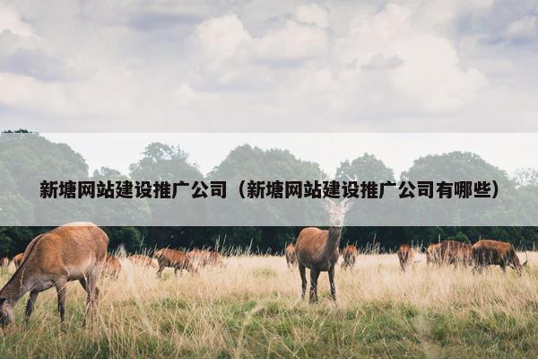 新塘网站建设推广公司（新塘网站建设推广公司有哪些）