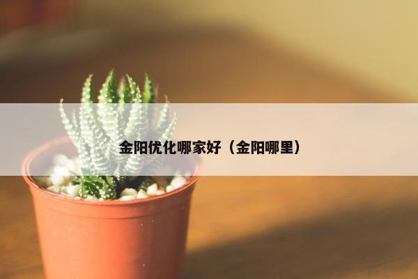 金阳优化哪家好（金阳哪里）