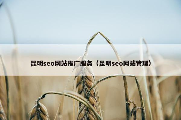 昆明seo网站推广服务（昆明seo网站管理）