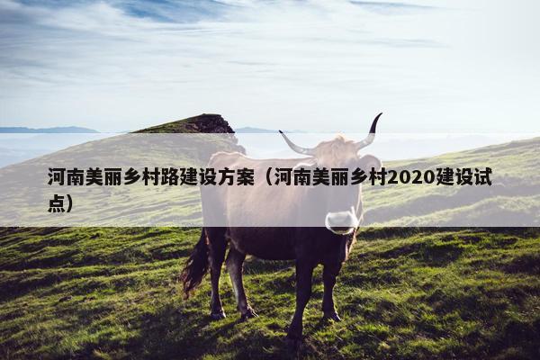 河南美丽乡村路建设方案（河南美丽乡村2020建设试点）