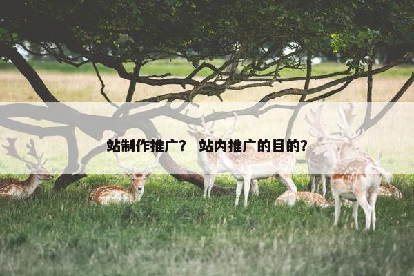 站制作推广？ 站内推广的目的？