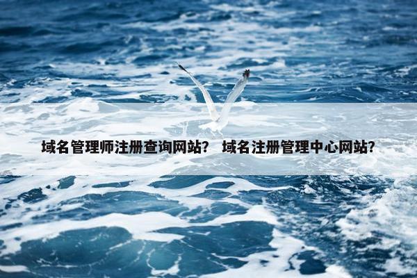 域名管理师注册查询网站？ 域名注册管理中心网站？