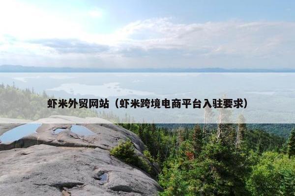 虾米外贸网站（虾米跨境电商平台入驻要求）