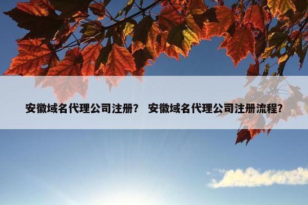 安徽域名代理公司注册？ 安徽域名代理公司注册流程？