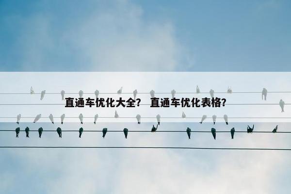 直通车优化大全？ 直通车优化表格？