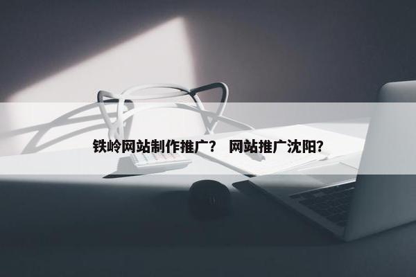 铁岭网站制作推广？ 网站推广沈阳？