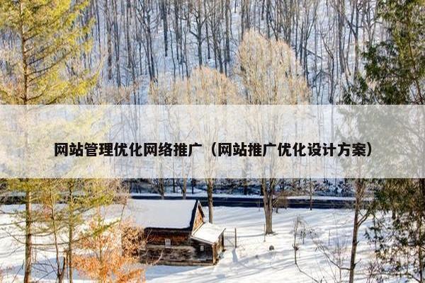 网站管理优化网络推广（网站推广优化设计方案）
