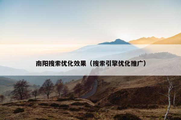 南阳搜索优化效果（搜索引擎优化推广）