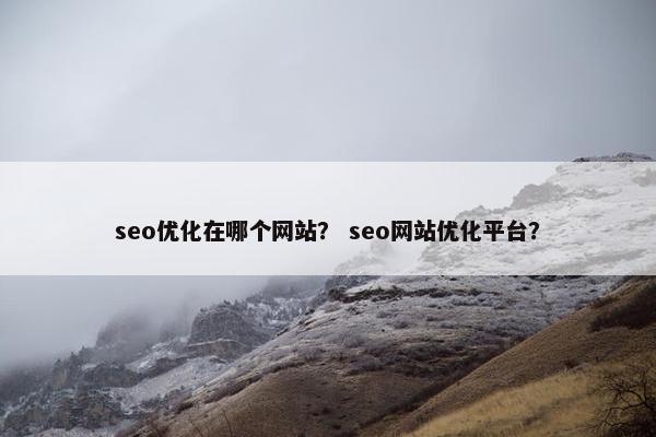 seo优化在哪个网站？ seo网站优化平台？