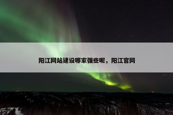 阳江网站建设哪家强些呢，阳江官网