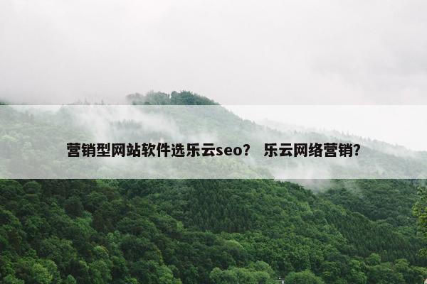 营销型网站软件选乐云seo？ 乐云网络营销？