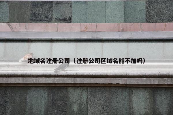 地域名注册公司（注册公司区域名能不加吗）