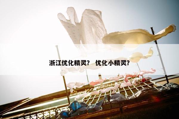 浙江优化精灵？ 优化小精灵？